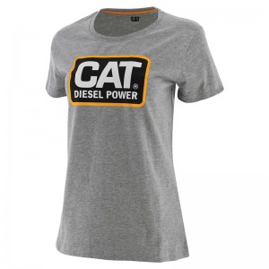 CatFootweat Diesel Power Tee Women's Workwear Grey | 69RCKHMSB