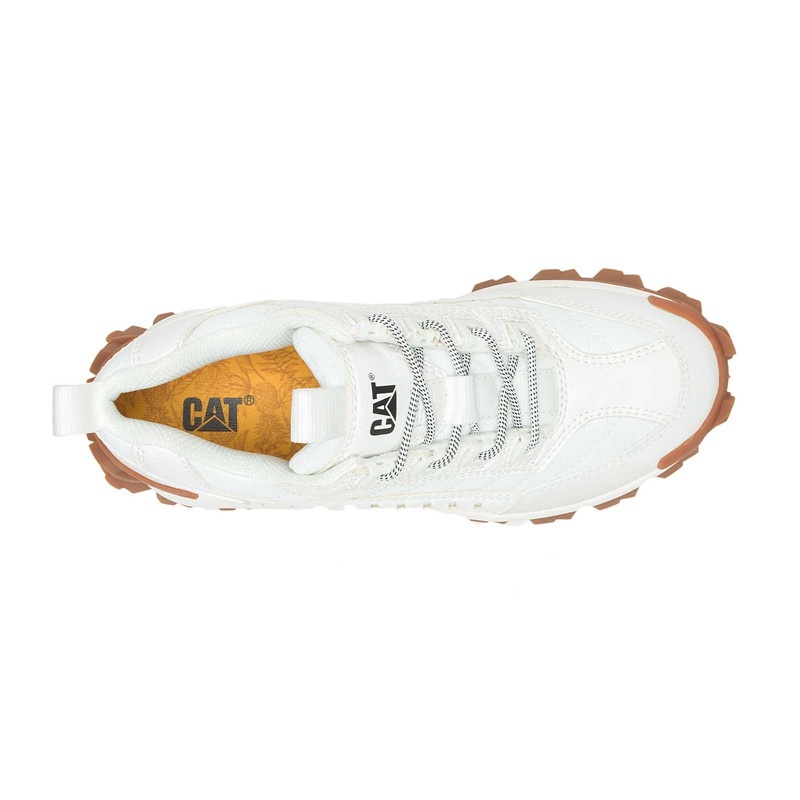 CatFootweat Eco Intruder Men's Casual Shoes White | 56ZJVGULE