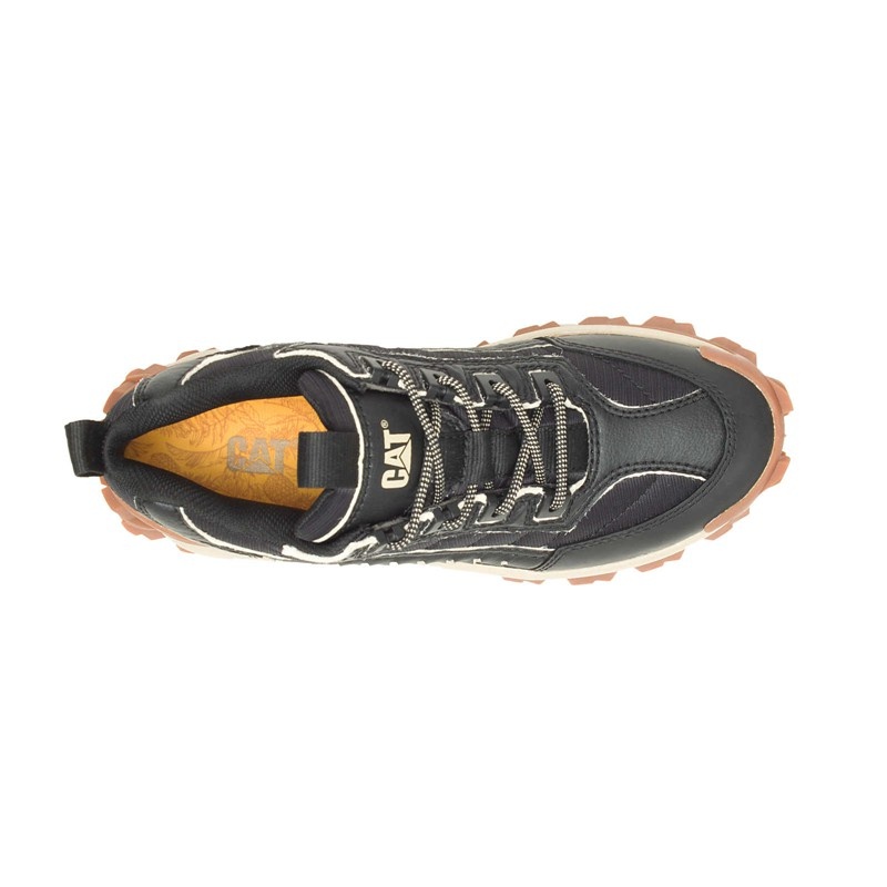 CatFootweat Eco Intruder Women's Shoes Black | 25DRPGVJT