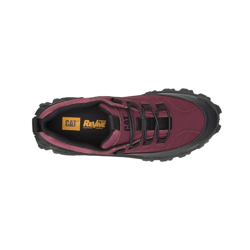 CatFootweat Intruder Waterproof Galosh Women's Shoes Black / Burgundy | 01XJWBVZP